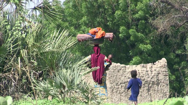 Lac Tchad: la vie reprend malgré la menace Boko Haram