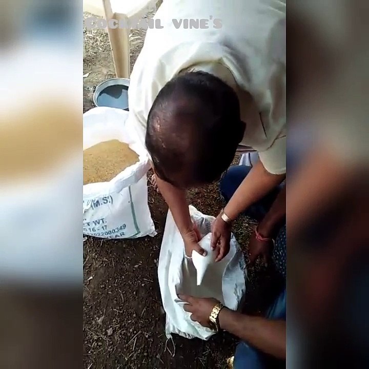 Magic of shank shank