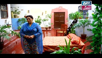 Zindaan Episode 07 In High Quality on Ary Zindagi 23rd August 2017