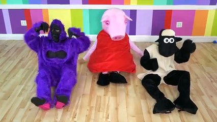 Spiderman Finger Family Collection | Spiderman Finger Family (Spiderman) Nursery Rhyme