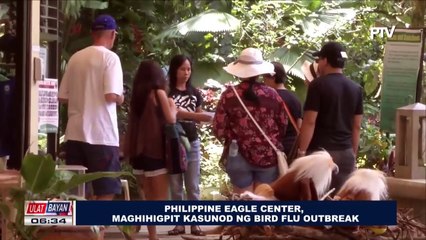 Philippine Eagle center, maghihigpit kasunod ng bird flu outbreak