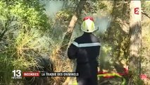 Incendies la traqu