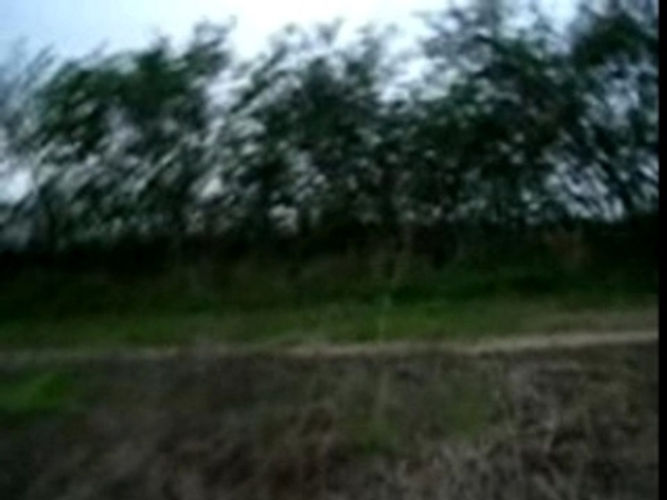 yamaha wolverine 450