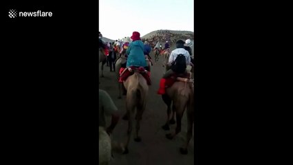 Tourists stranded in 'camel jam' in Chinese mountain