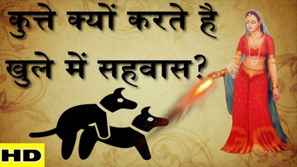 द्रौपदी के श्राप के कारण ... कुत्ते करते है "खुले में सहवास" !!!