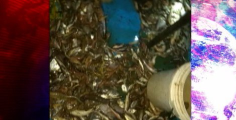 Dos embarcaciones detenida por la Armada del Ecuador