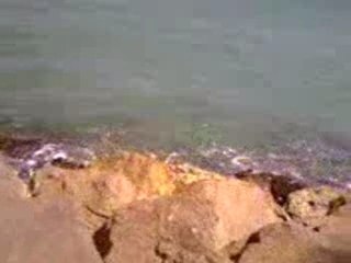 bo pays de perpignan