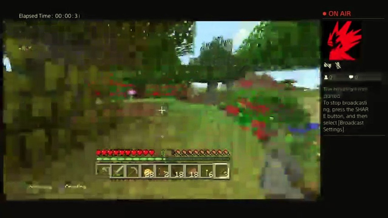 Minecarp (87)