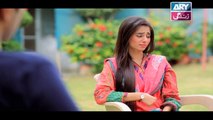 Haal e Dil Episode 200 in High Quality on Ary Zindagi 24th August 2017