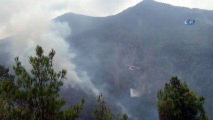Teröristler 30 Hektarlık Ormana Zarar Verdi