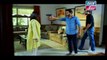 Haya Kay Rang Episode 141 In High Quality on Ary Zindagi 24th August 2017