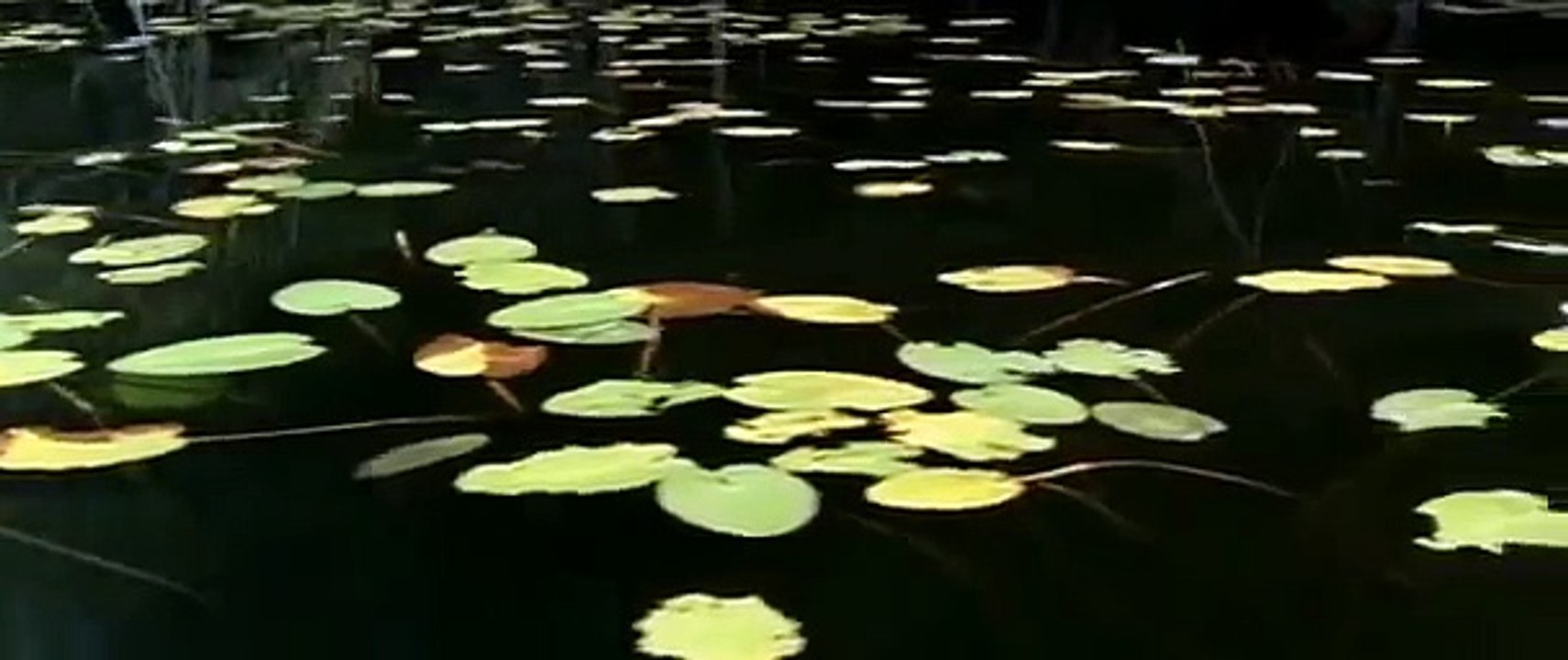 Et après (2007) Partie 1 (360p_30fps_H264-96kbit_AAC)