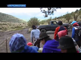 Desde 1991 Comunidad que habita en el páramo se encarga de la reforestación del mismo