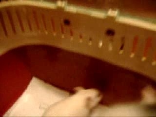 domino gloubi boulga