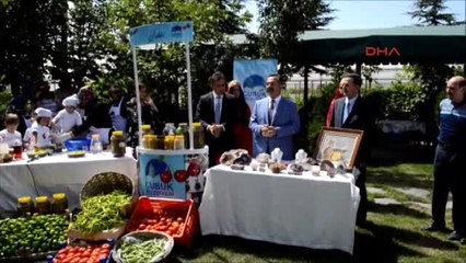 Ankara Başkan Acehan Kadın ve Çocuklarla Salatalık Topladı Turşu Kurdu