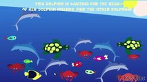 Animales Conde educativo encontrar para Niños Aprender Nuevo oceano de el vídeo Tarjetas flash