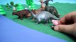 Porc clin doeil avec Peppa cvinka jouets Peppa Pig Peppa Toy série de collection Histoire