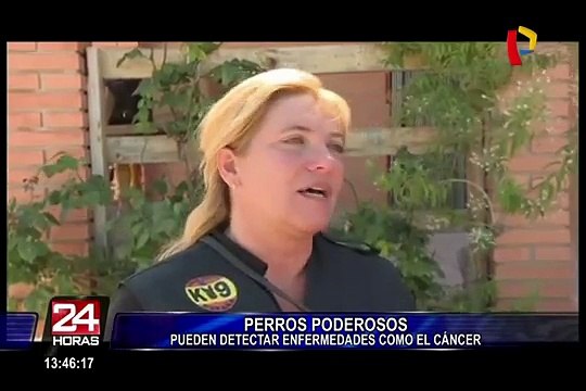 Los perros puede detectar enfermedades como el cáncer