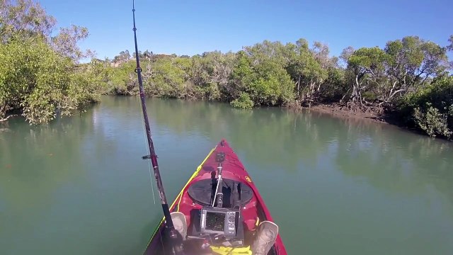 Ce kayakiste pensait avoir trouvé un coin tranquille pour pêcher (Australie)