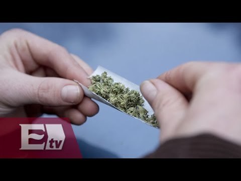 Presentan plataforma para el debate del consumo de marihuana en México / Ricardo Salas