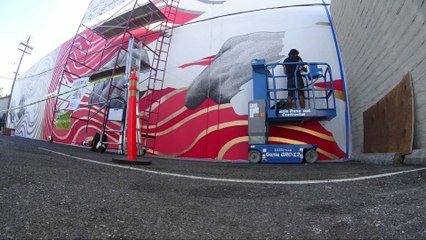 Sacramento Wide open wall time-lapse 2017 WOW916