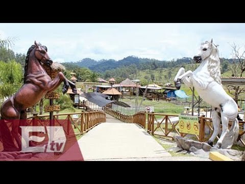 Decomisan bienes y congelan cuentas de “El Chapo” en varios países/ Vianey Esquinca