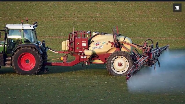 Comment fonctionnent les perturbateurs endocriniens