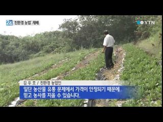 '친환경 농산물' 판로 걱정 없어요 / YTN