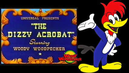Pica Pau O Acrobata Maluco - 008 (Dublado PT-BR)