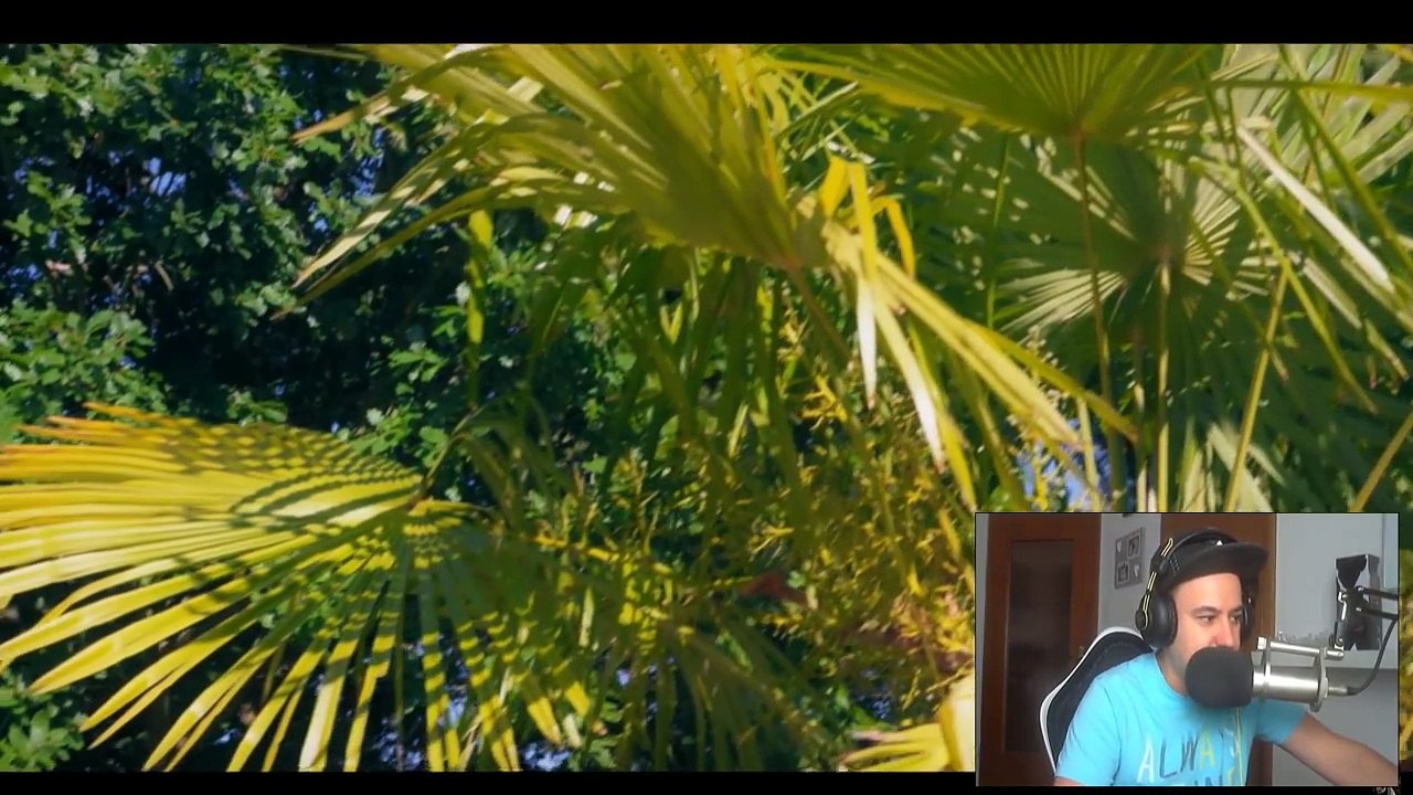 GERMAN REACT TO FRANCE RAP- Niska - Réseaux - german reacts - cut edition