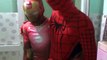 Compilación congelado gracioso casco bromista rosado Chica araña hombre araña superhéroes tirano saurio Rex elsa