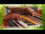 Amir Sultan & Arzo Naz Pashto New Songs Album 2017 Zeray Part-8