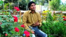 Pashto New Songs 2017 Zia Sahil - Da Speeny Khuly Pashto HD Song 2017