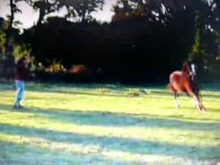 cheval longe