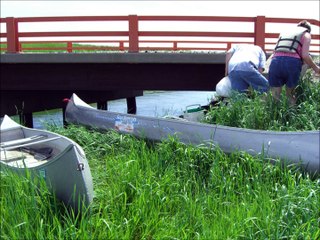 Canoe  Trip down the Elm River