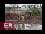 El ecocidio en el manglar de Tajamar en Cancún / Atalo Mata