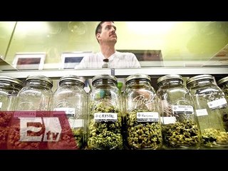 Arranca en Cancún primer foro sobre el uso lúdico de la mariguana/ Vianey Esquinca