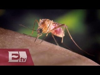 Refuerzan lucha contra el virus Zika en Estados Unidos / Ingrid Barrera