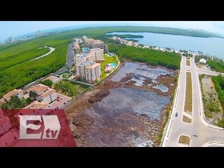 Impacto ambiental de la destrucción del Malecón Tajamar / Opiniones encontradas