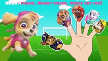 Dora & Paw Patrol Finger Family Songs | Mickey Mouse Cartoons for kids | Nursery Rhymes