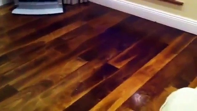 Walnut stain and stain Varnished Wood Flooring Ireland !