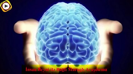 İnsan Beyni ilə Bağlı Maraqlı Araşdırma
