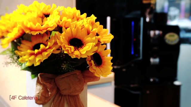 Plastic Surgery Clinics In Korea