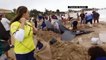 Crowds pull together to save beached whale on Brazil beach