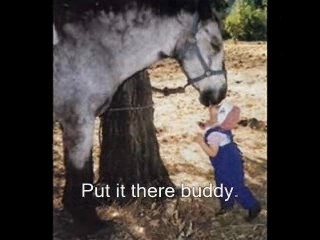 Hilarious! Cute, funny and bizarre pictures of daily life.