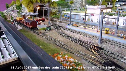 Entrées de deux trains au triage