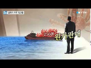 올가을 대세 '킹크랩' 싸다 해서 갔더니… / YTN