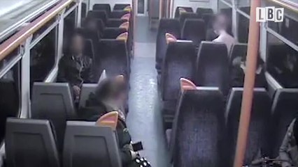 Violent Thug Torments Train Passengers