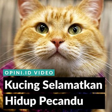 Kucing Selamatkan Hidup Pecandu
