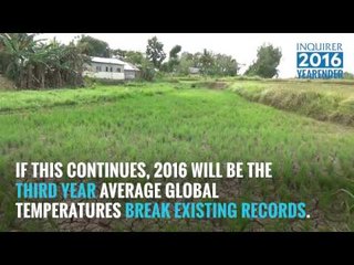 Inquirer Yearender: Can the human race still do anything to stop climate change?